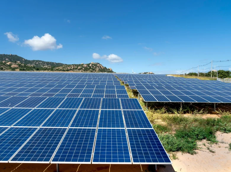 pexels quang nguyen vinh 6876537